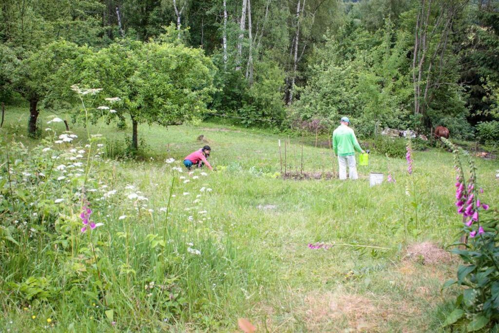 Enjoy Cozy Romance Hills Forest Gardens Views Sauna Whirlpool Bath Jablonne v Podjestedi Exterior photo